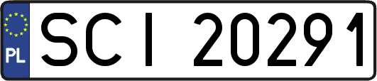 SCI20291