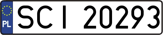 SCI20293