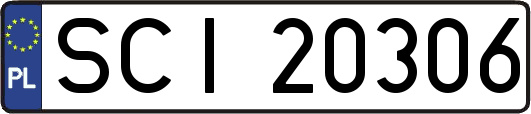 SCI20306