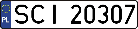 SCI20307