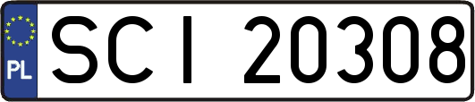 SCI20308