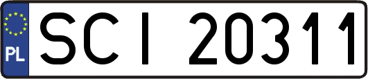 SCI20311