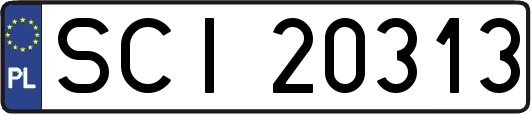 SCI20313