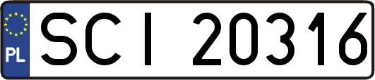 SCI20316