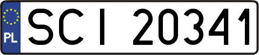 SCI20341