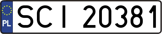 SCI20381