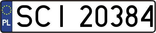 SCI20384