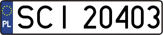 SCI20403