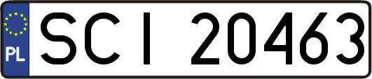SCI20463