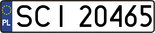 SCI20465