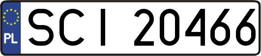 SCI20466