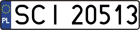 SCI20513