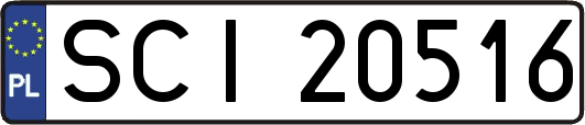 SCI20516