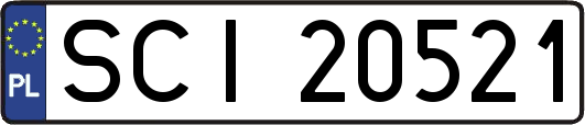 SCI20521