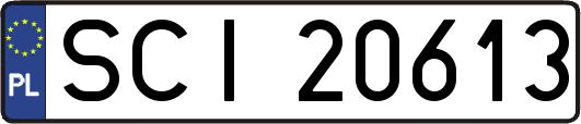 SCI20613