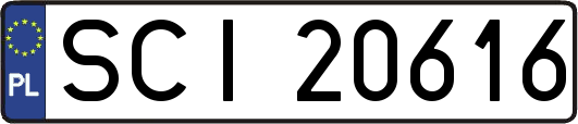 SCI20616