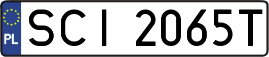 SCI2065T