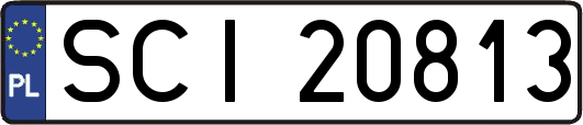 SCI20813