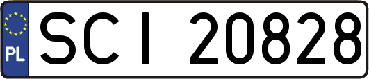 SCI20828
