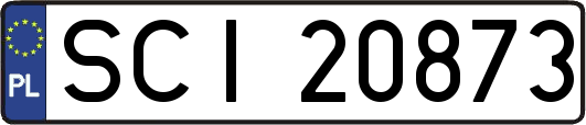 SCI20873