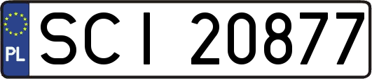 SCI20877