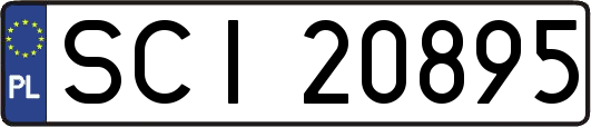 SCI20895