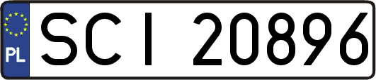 SCI20896