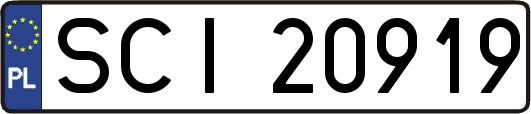 SCI20919