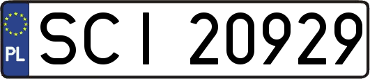 SCI20929