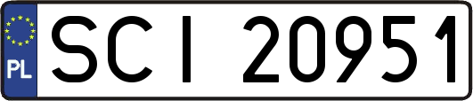 SCI20951