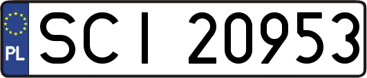 SCI20953