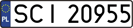 SCI20955
