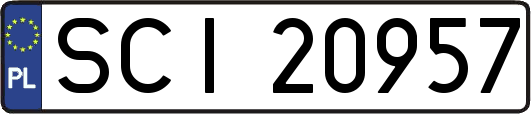 SCI20957