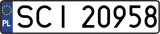 SCI20958
