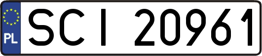 SCI20961