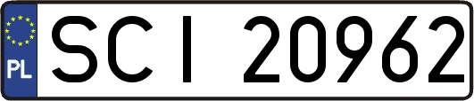 SCI20962