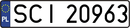 SCI20963