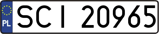 SCI20965