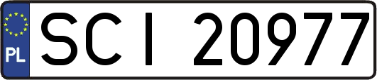 SCI20977