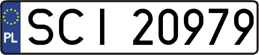 SCI20979
