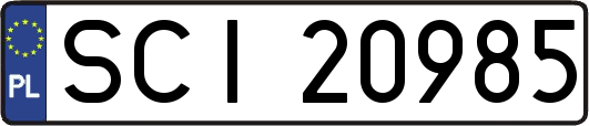 SCI20985