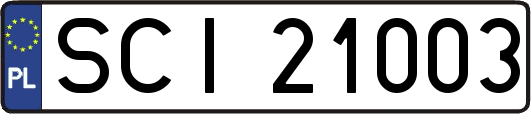 SCI21003