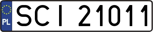 SCI21011