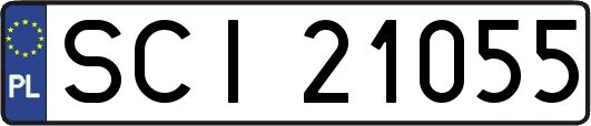 SCI21055