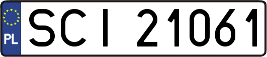 SCI21061