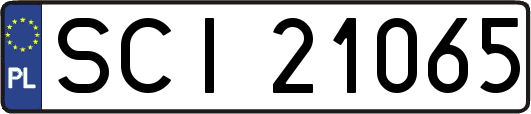 SCI21065