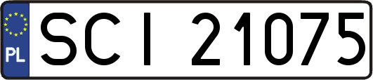 SCI21075
