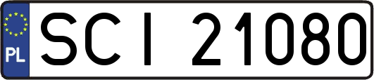 SCI21080