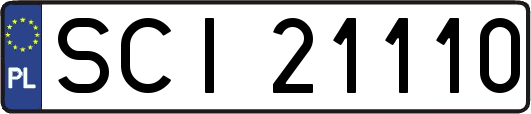 SCI21110