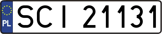 SCI21131